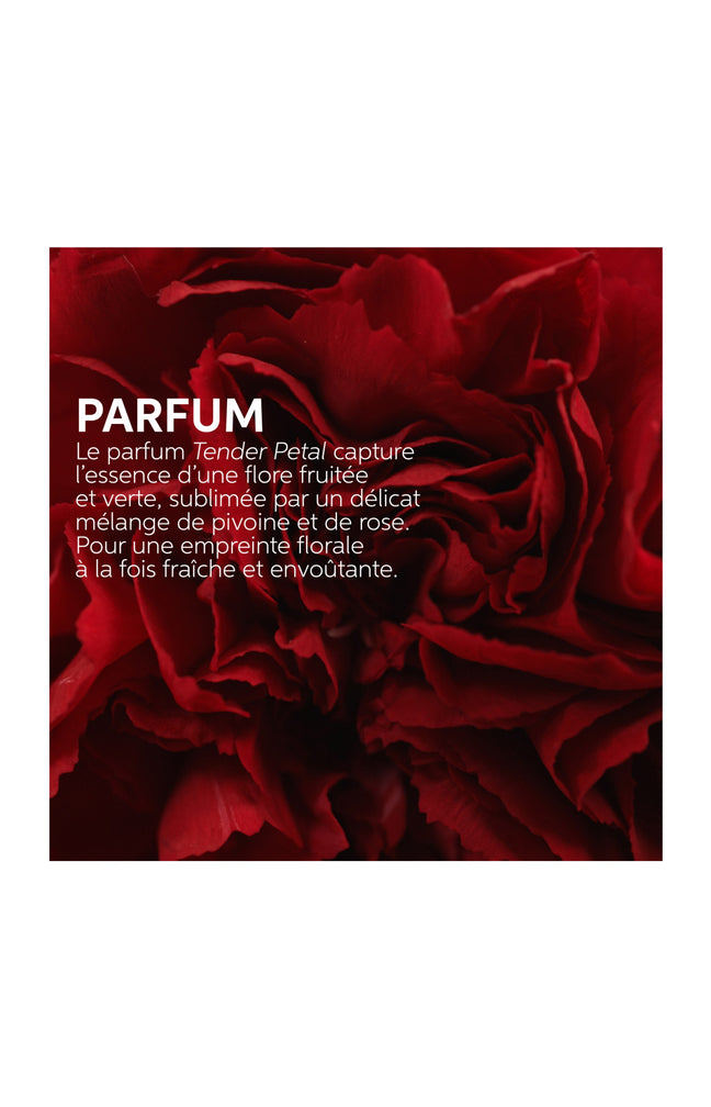 Sérum de nuit sans rinçage - Ultimate Repair - Cheveux abîmés