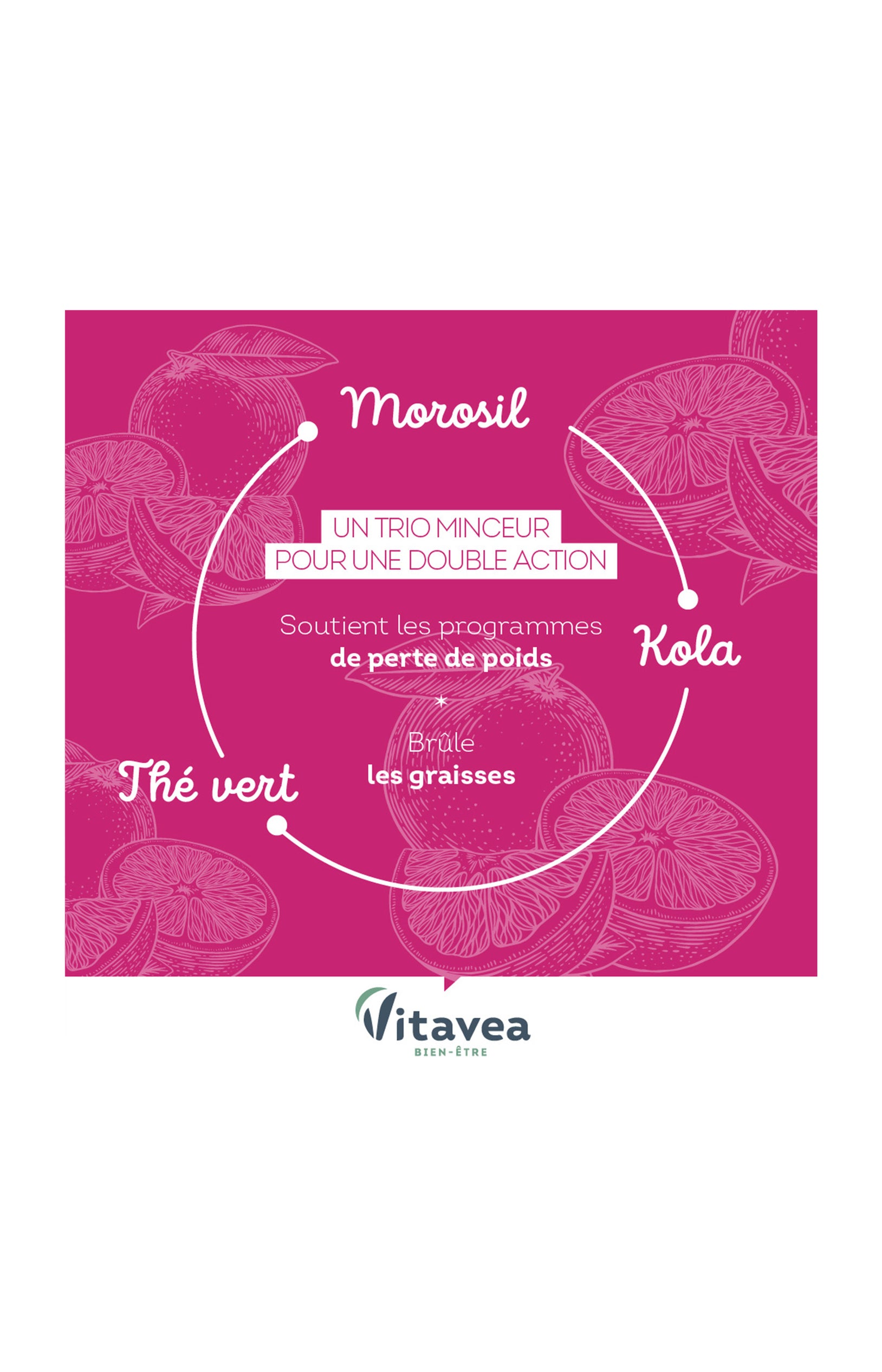 Cure minceur & brûle graisse - Morosil & thé vert - 2 mois