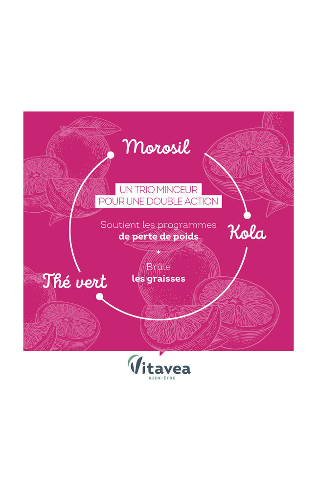 Cure minceur & brûle graisse - Morosil & thé vert - 2 mois