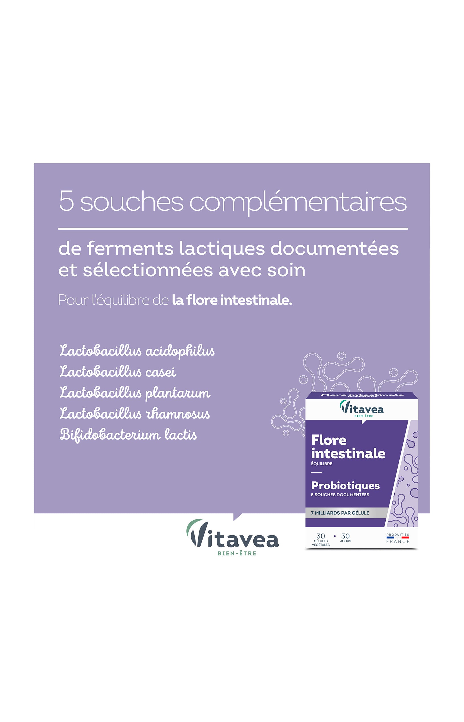 Cure flore intestinale - Suprabiotique 5 souches - 3 mois