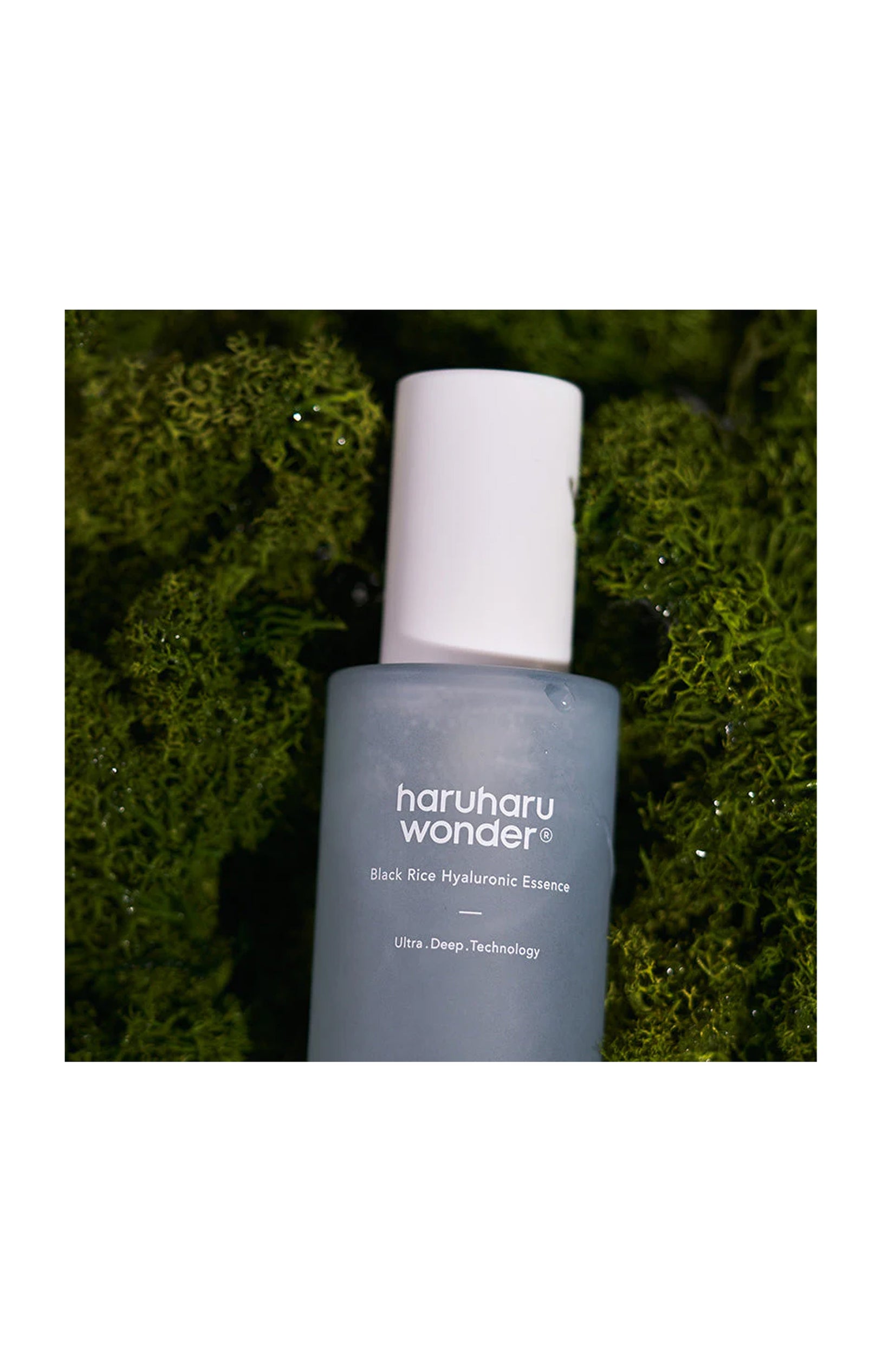 Sérum anti-âge - Acide hyaluronique & riz noir - 50 ml