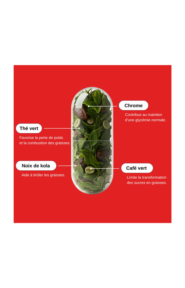 Brûleur de graisses - 1 mois