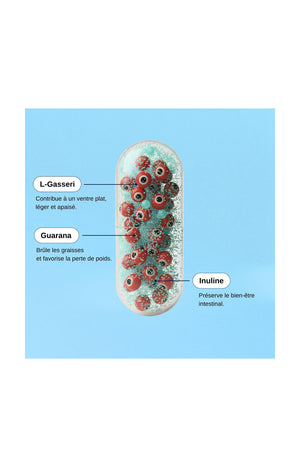 Probio ventre plat - 1 mois