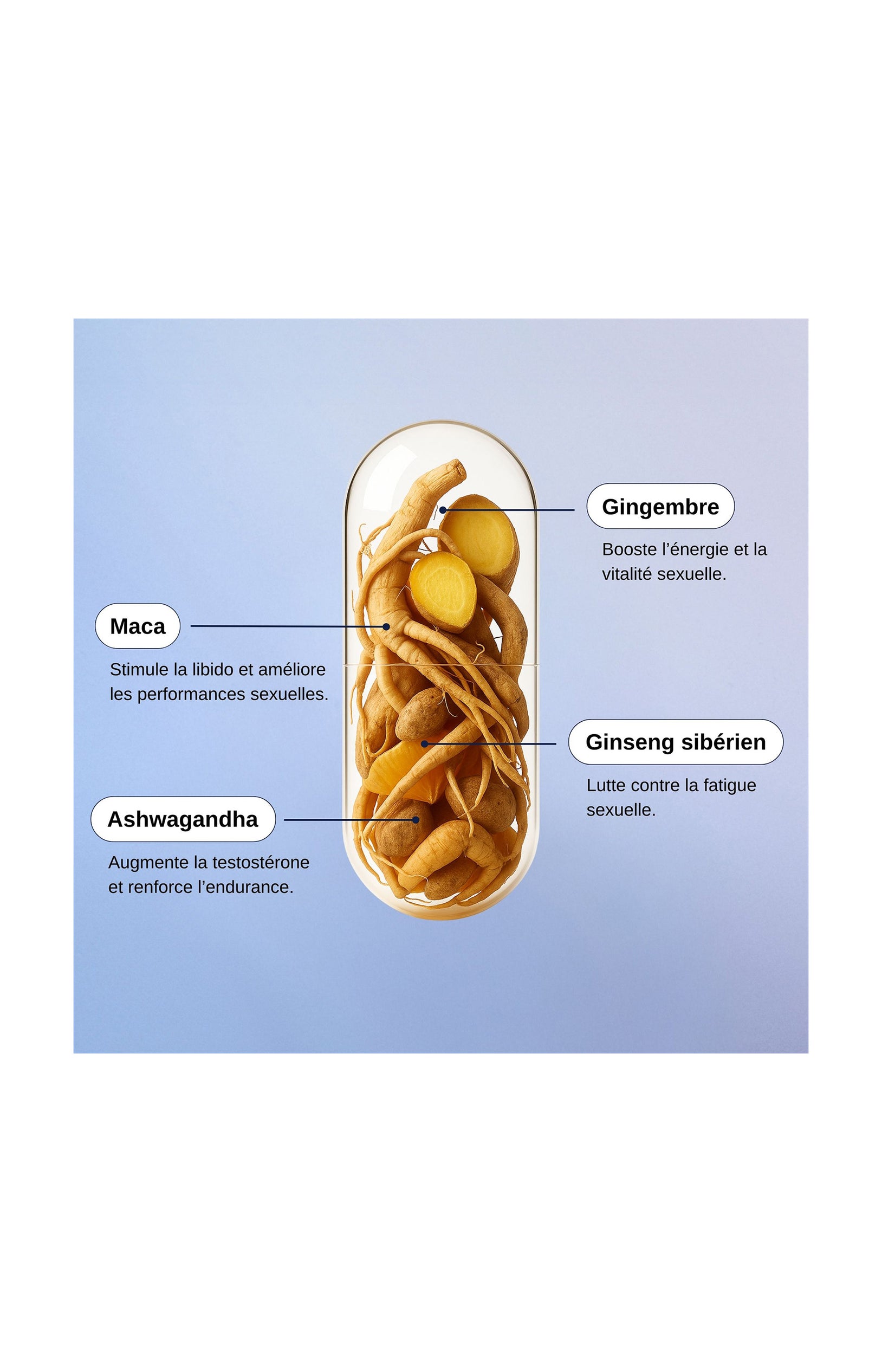 Libido Boost - Homme - 1 mois