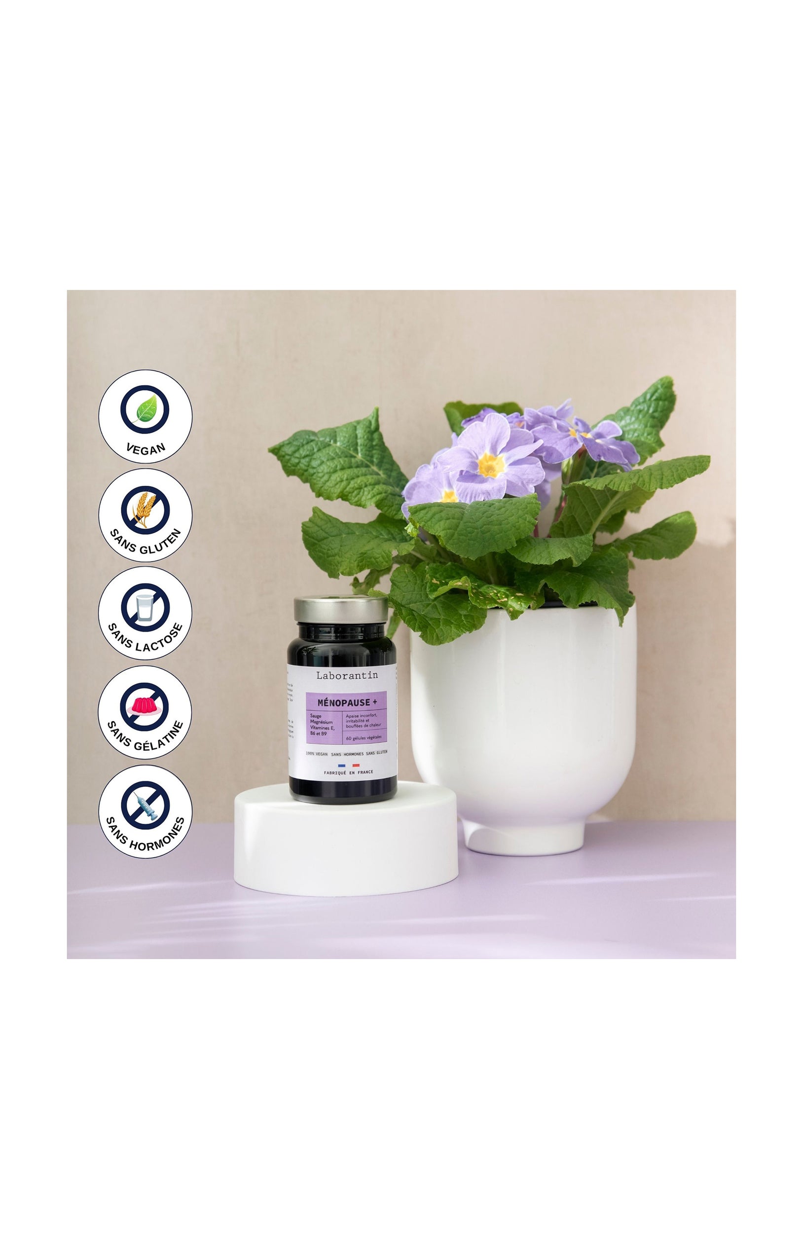 Ménopause + - 1 mois