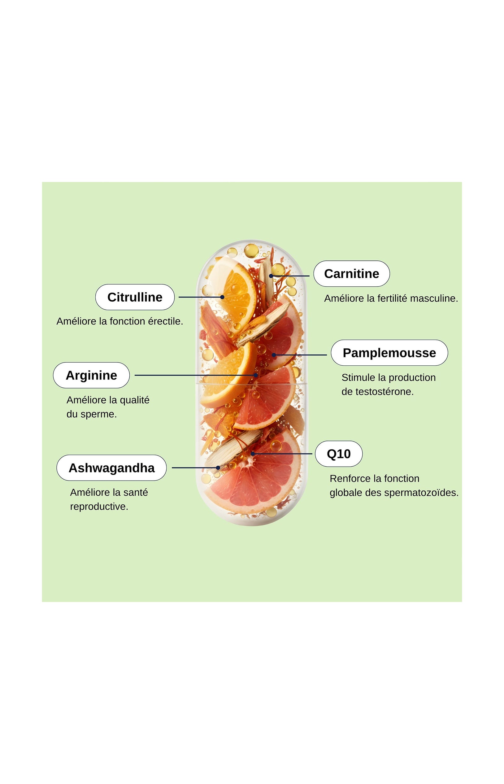 Nutri fertilité - Homme - 1 mois