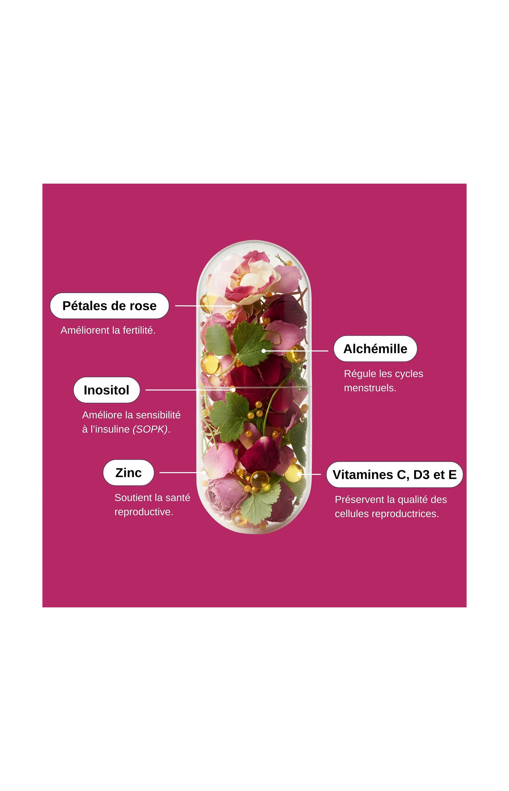 Nutri fertilité - Femme - 1 mois