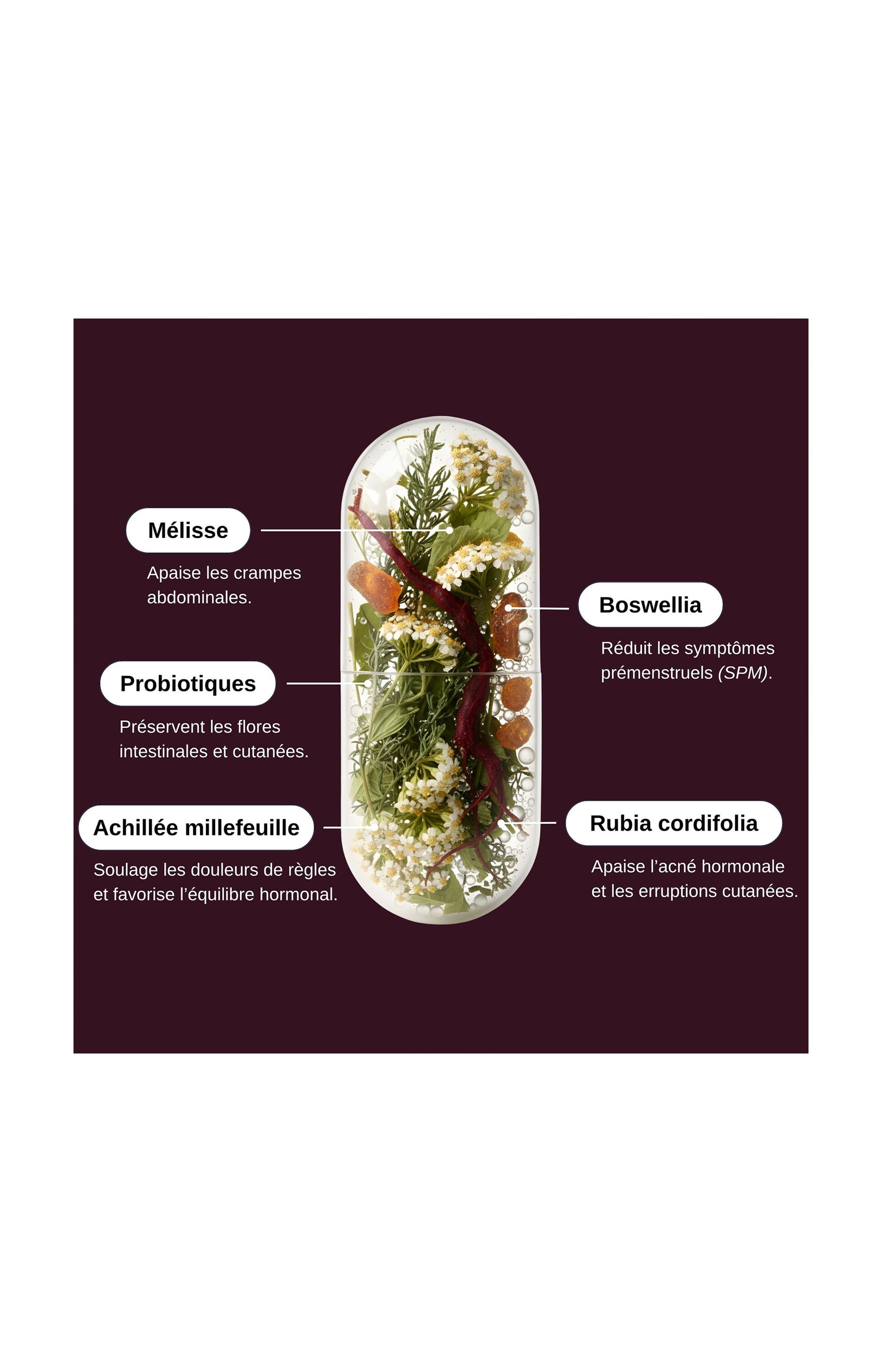 Compléments alimentaires - Probio Menstruations - Confort menstruel - 1 mois