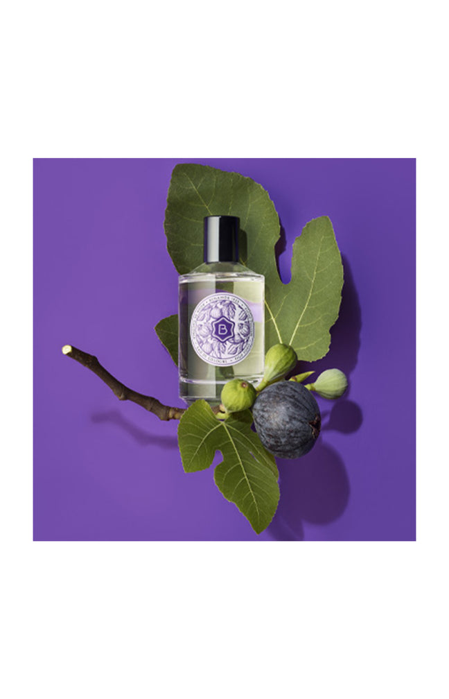 Fig Fogo Eau de Cologne - Feuilles & bois de figuier