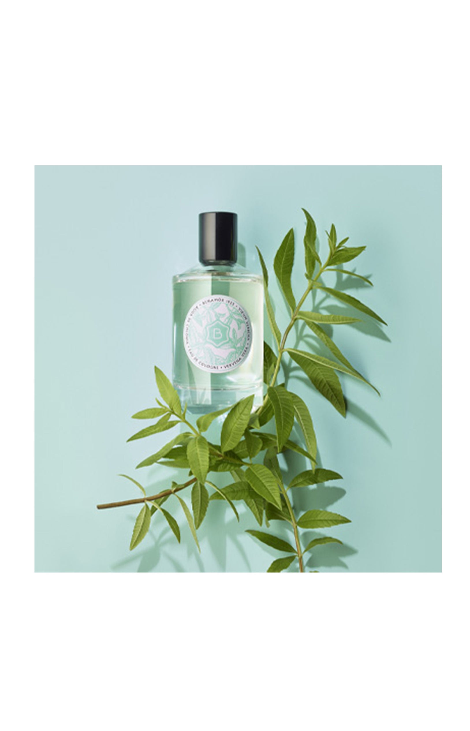 Verbena Vera Eau de Cologne - Verveine & citron vert