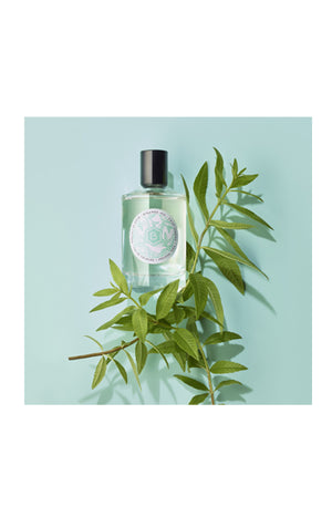 Verbena Vera Eau de Cologne - Verveine & citron vert