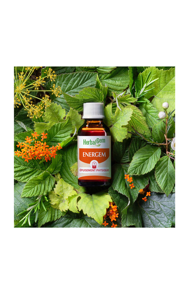 Sirop épuisement physique bio - Energem - 30 ml
