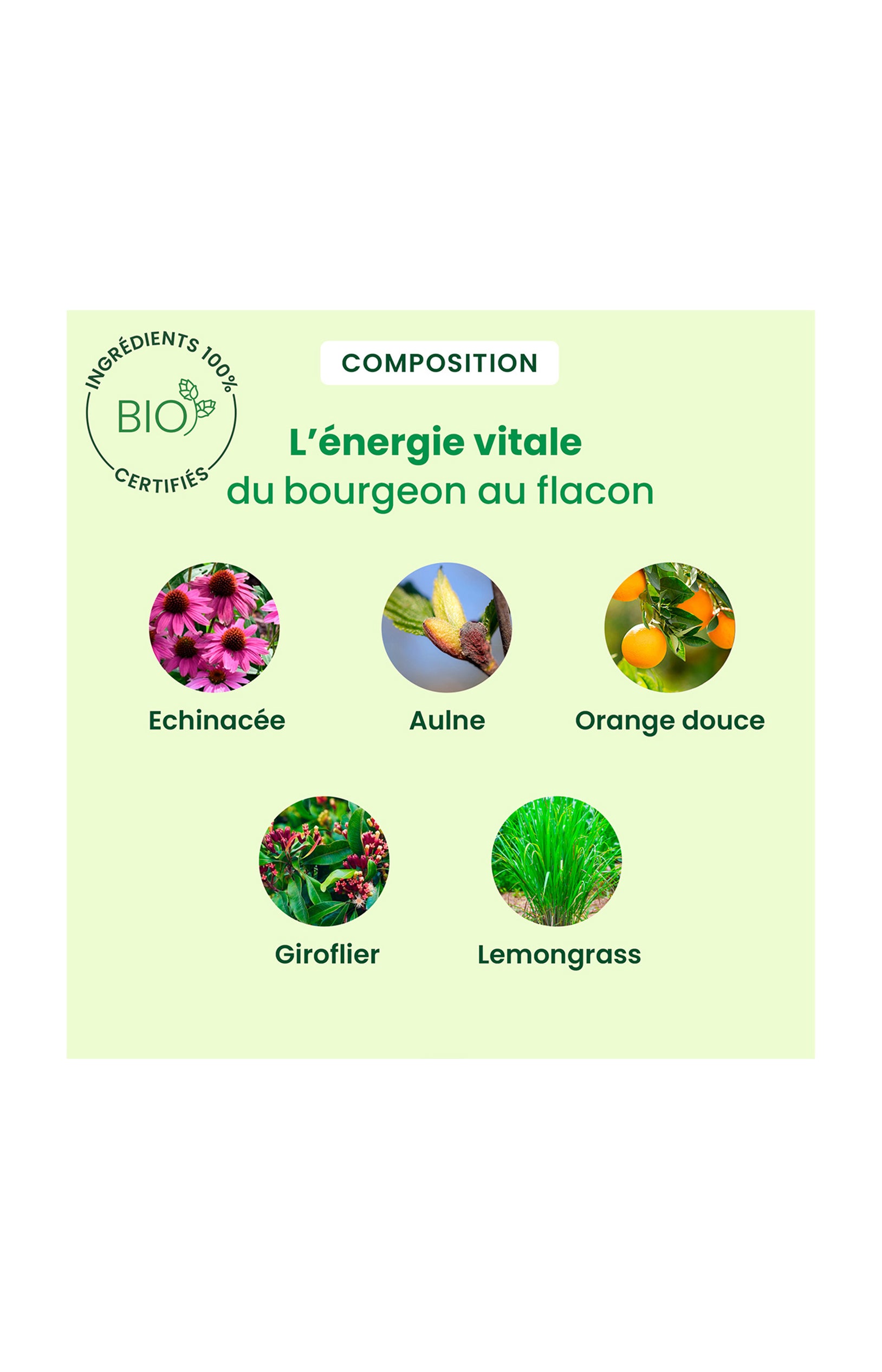 Gummies immunité bio - Propolis - Enfant - 45 g