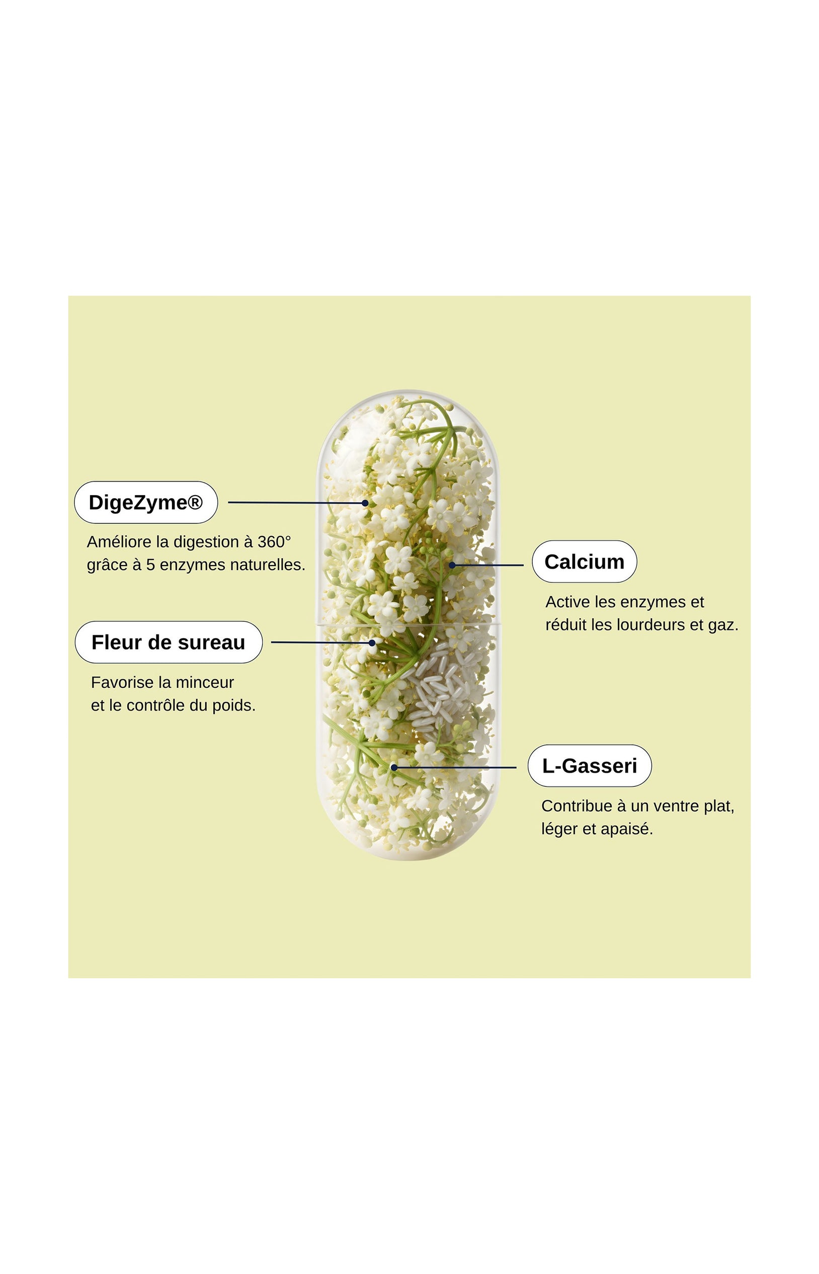 Probio Slim Digest - 1 mois