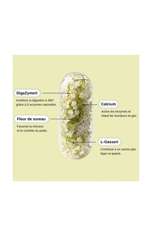 Probio Slim Digest - 1 mois