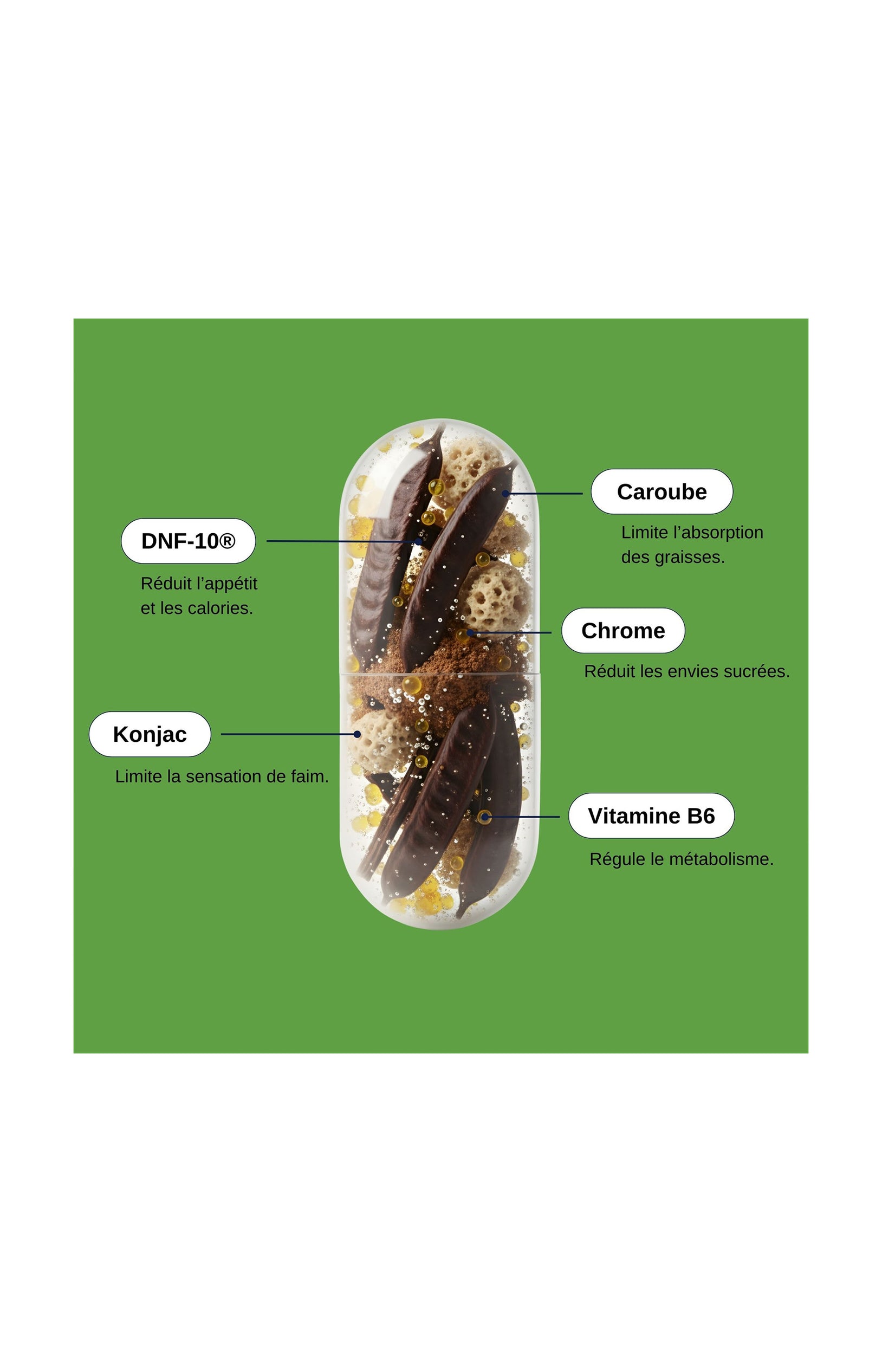 Super coupe-faim - 1 mois