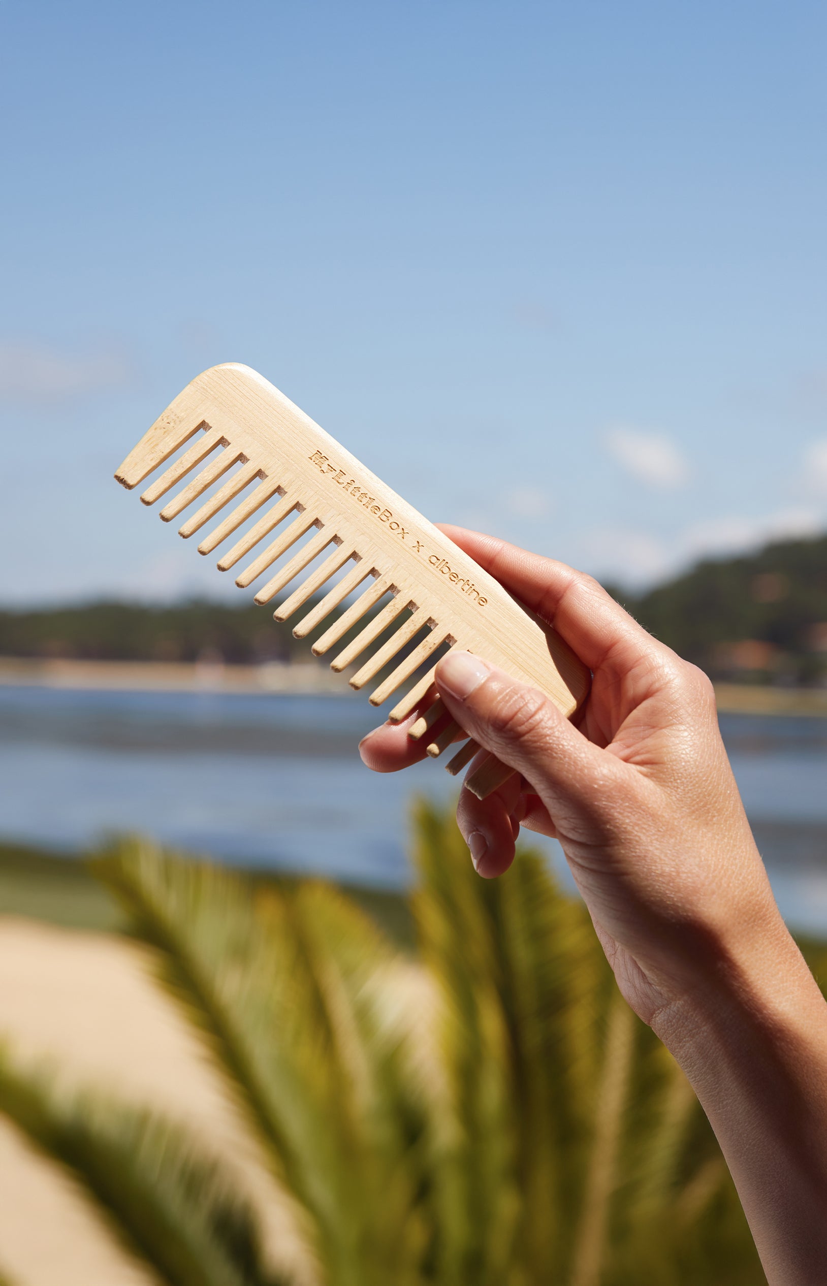 Peigne en bois