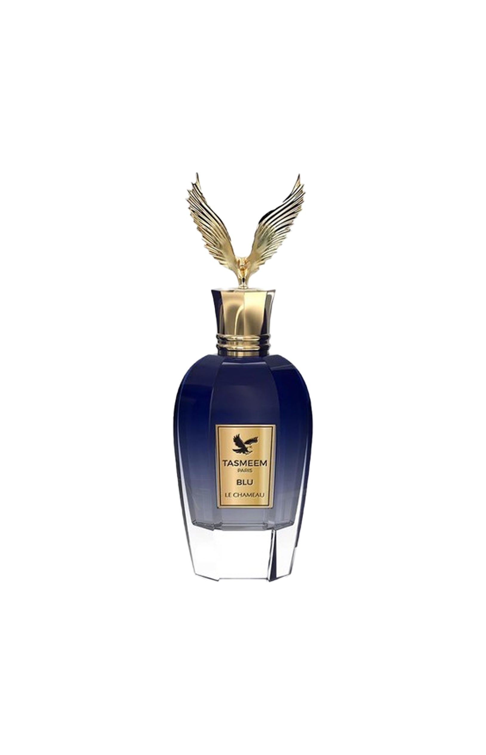 Tasmeen Paris Blu Eau de Parfum - Fruité oriental - Homme - 120 ml