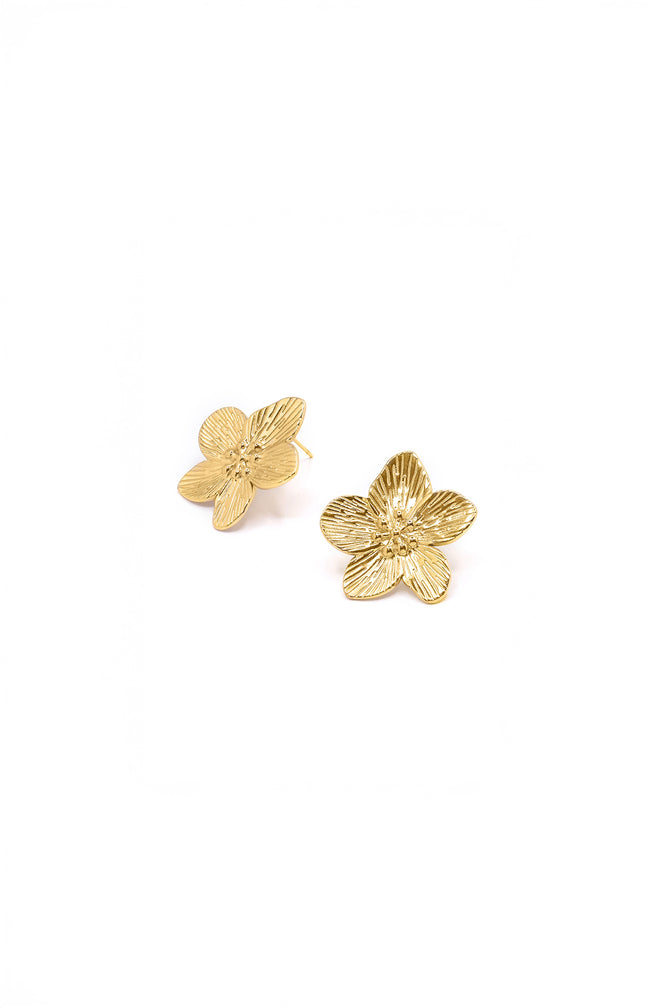 Boucles d'Oreilles Leopoldine - Acier inoxydable - Doré