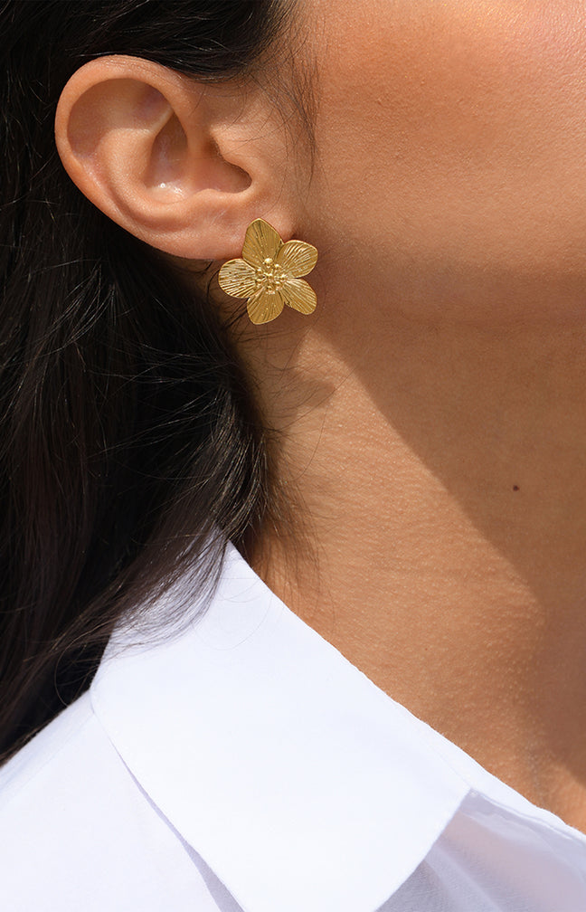 Boucles d'Oreilles Leopoldine - Acier inoxydable - Doré