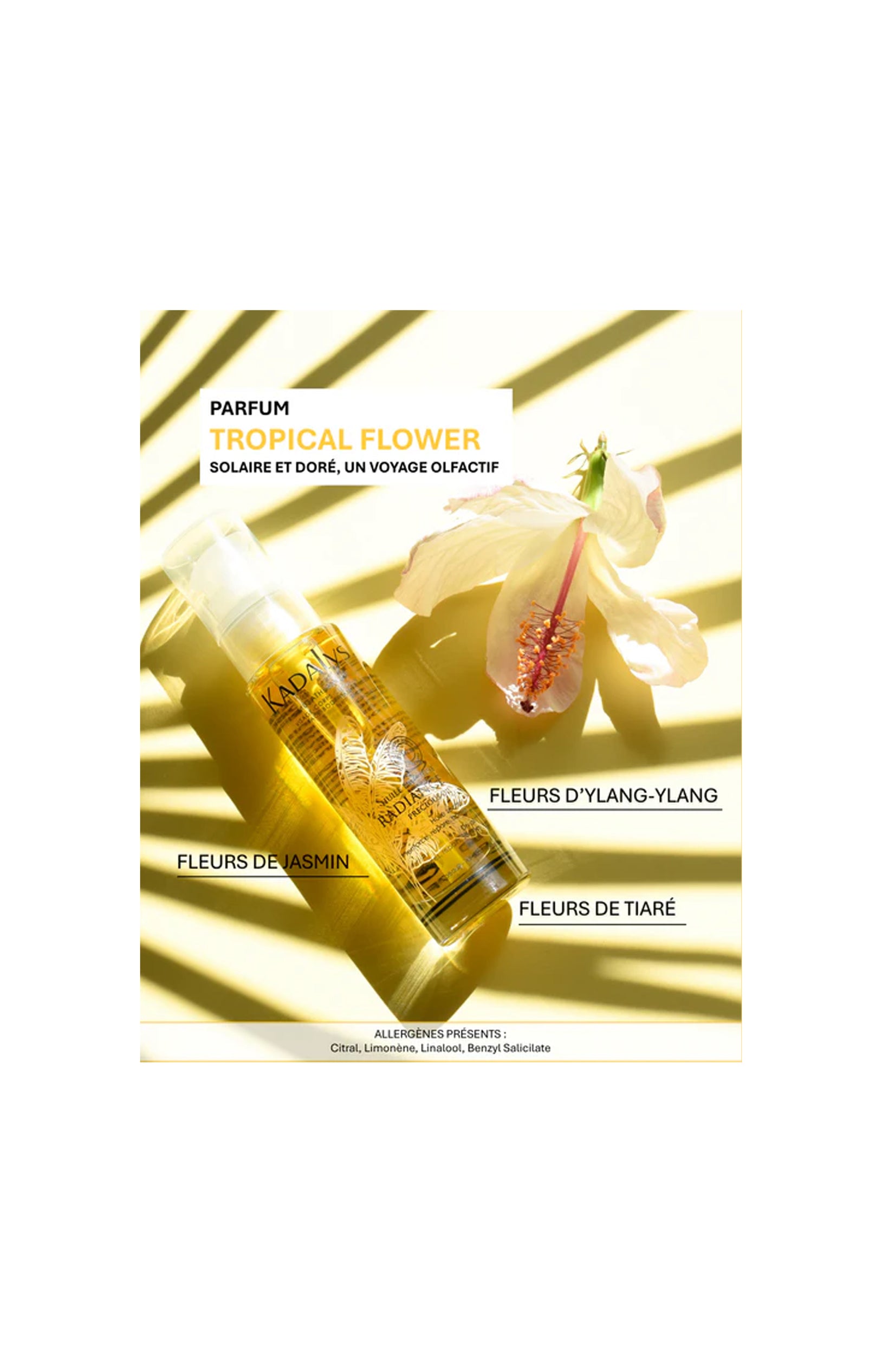 Huile précieuse radiance - Visage, corps & cheveux - 50 ml