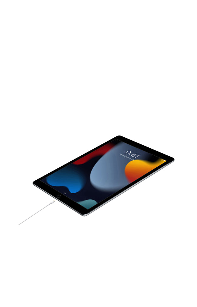 Câble de chargement USB-C & Lightning Apple - 1 m - Blanc