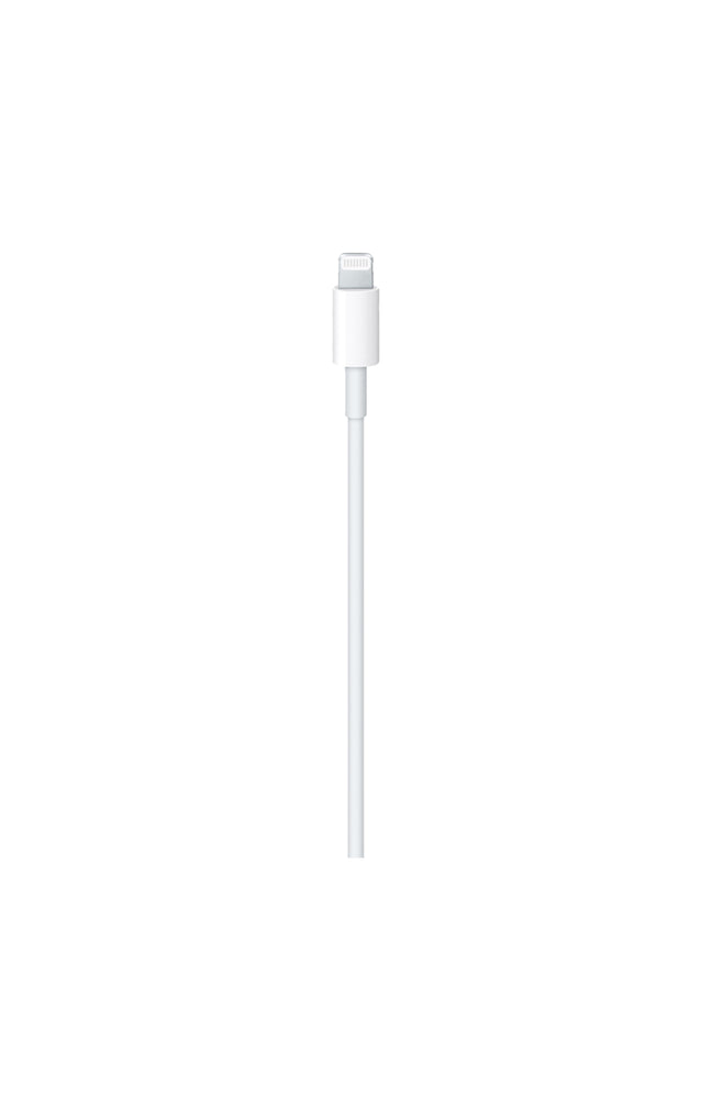 Câble de chargement USB-C & Lightning Apple - 1 m - Blanc