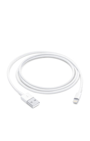Câble de chargement USB & Lightning Apple - 1 m - Blanc