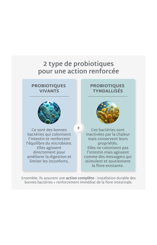 Cure gummies inconforts digestifs - Probiotiques - Sans sucres - Mûre - 2 mois