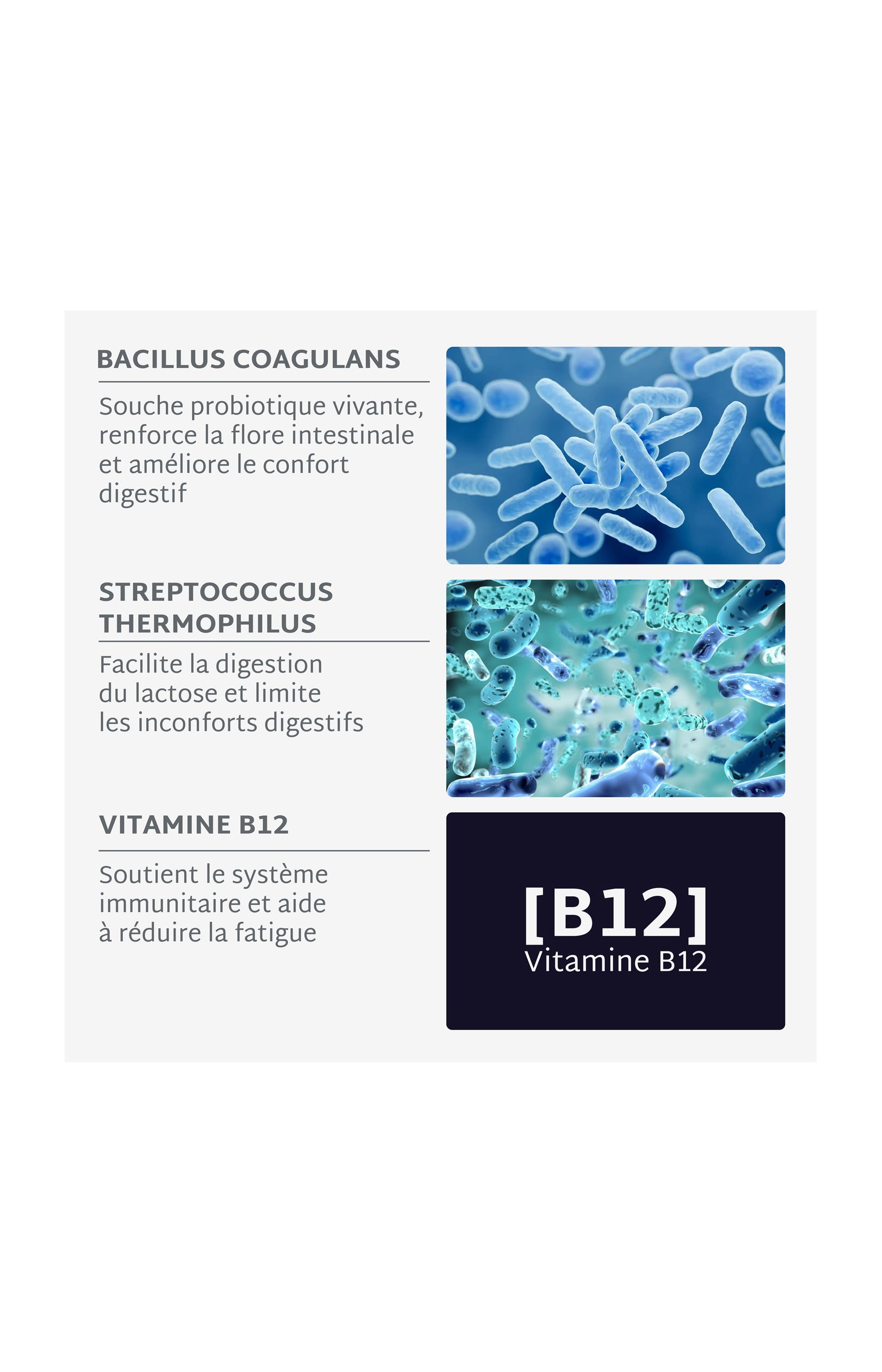 Cure gummies inconforts digestifs - Probiotiques - Sans sucres - Mûre - 2 mois