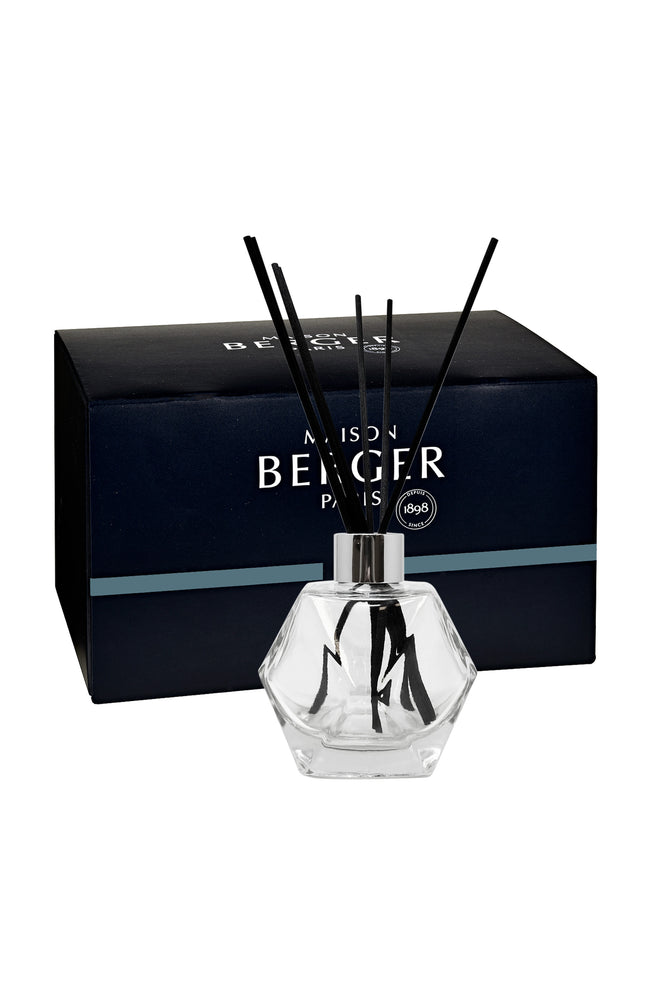 Bouquet parfumé seul - Geometry transparent