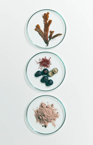 Cure ménopause - Peri-Meno Zen Powder - 21 sticks