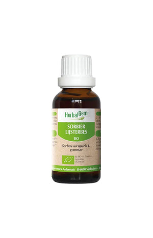Complexe de macérat-mère bio - Sorbier - 15 ml