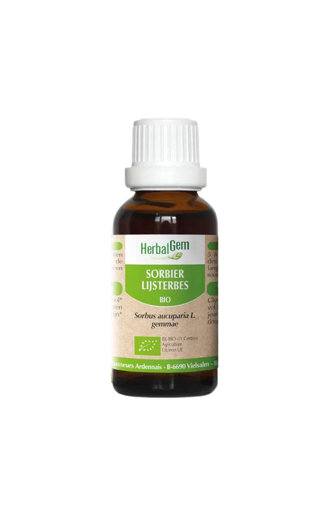 Complexe de macérat-mère bio - Sorbier - 15 ml
