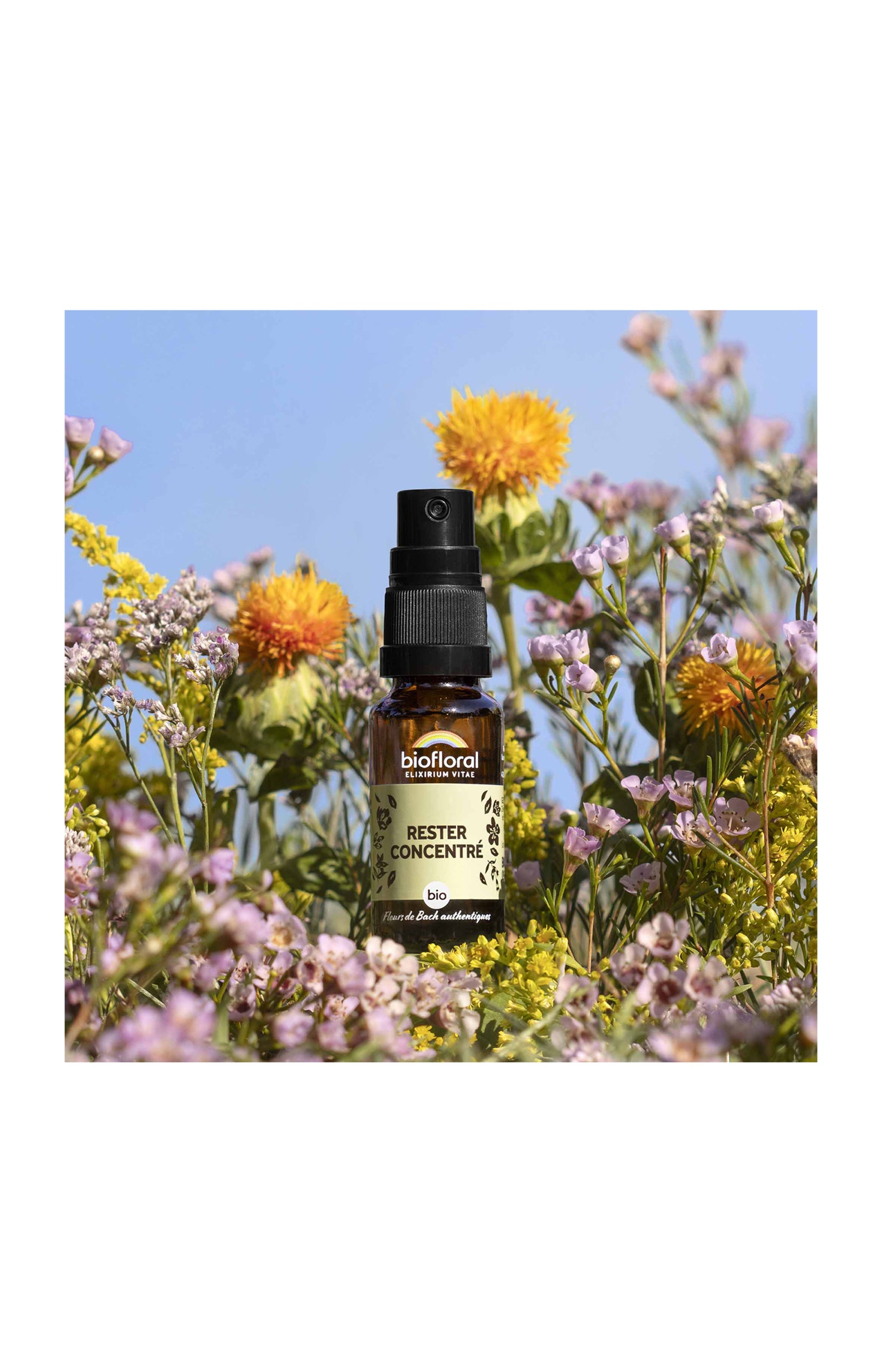 Spray bio - Rester concentré - 20 ml