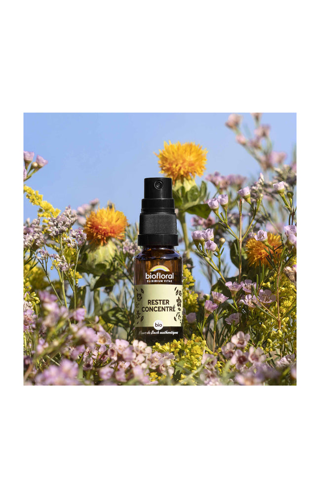 Spray bio - Rester concentré - 20 ml