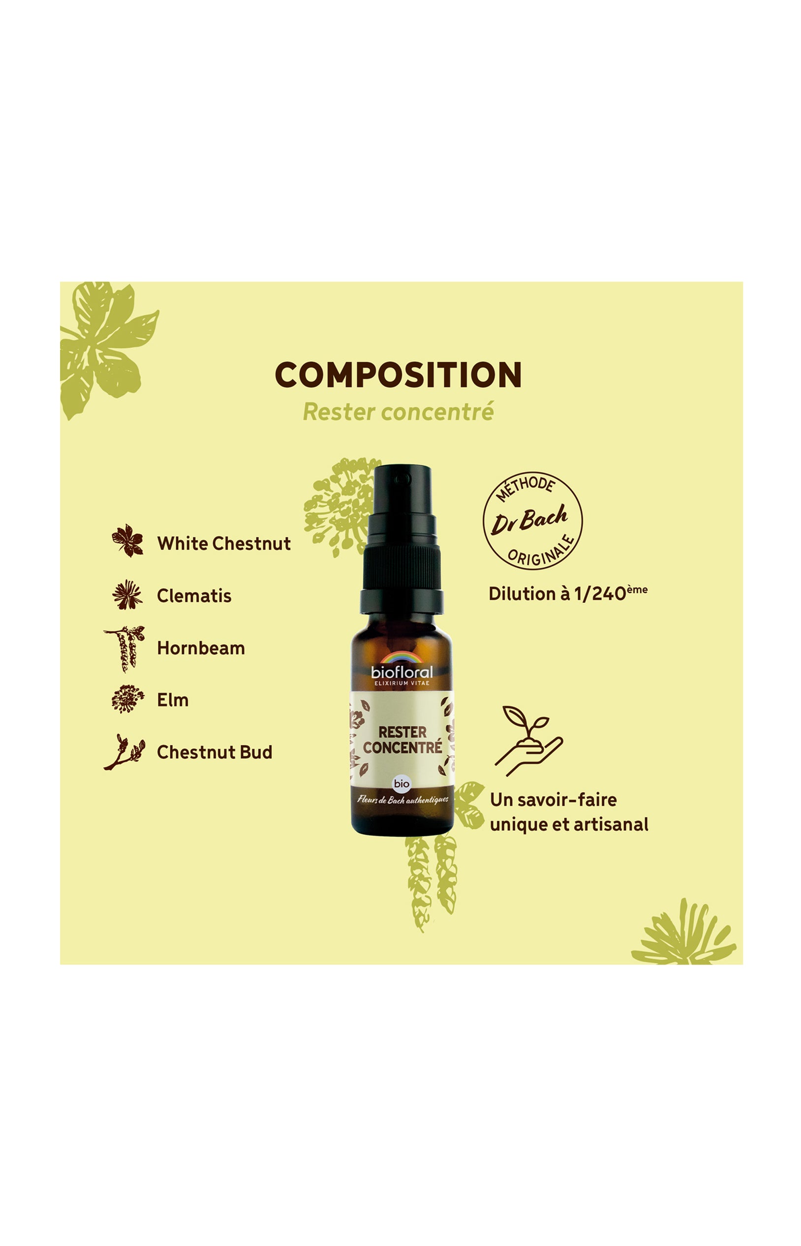Spray bio - Rester concentré - 20 ml