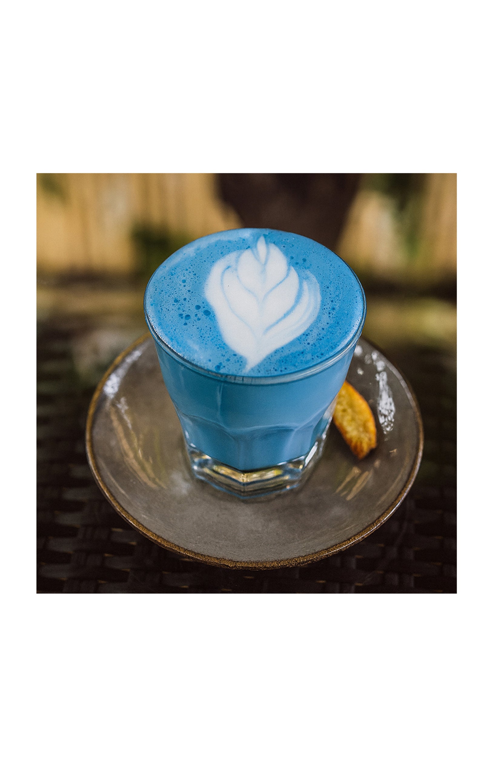 Pack Blue Matcha - 3 x 100 g