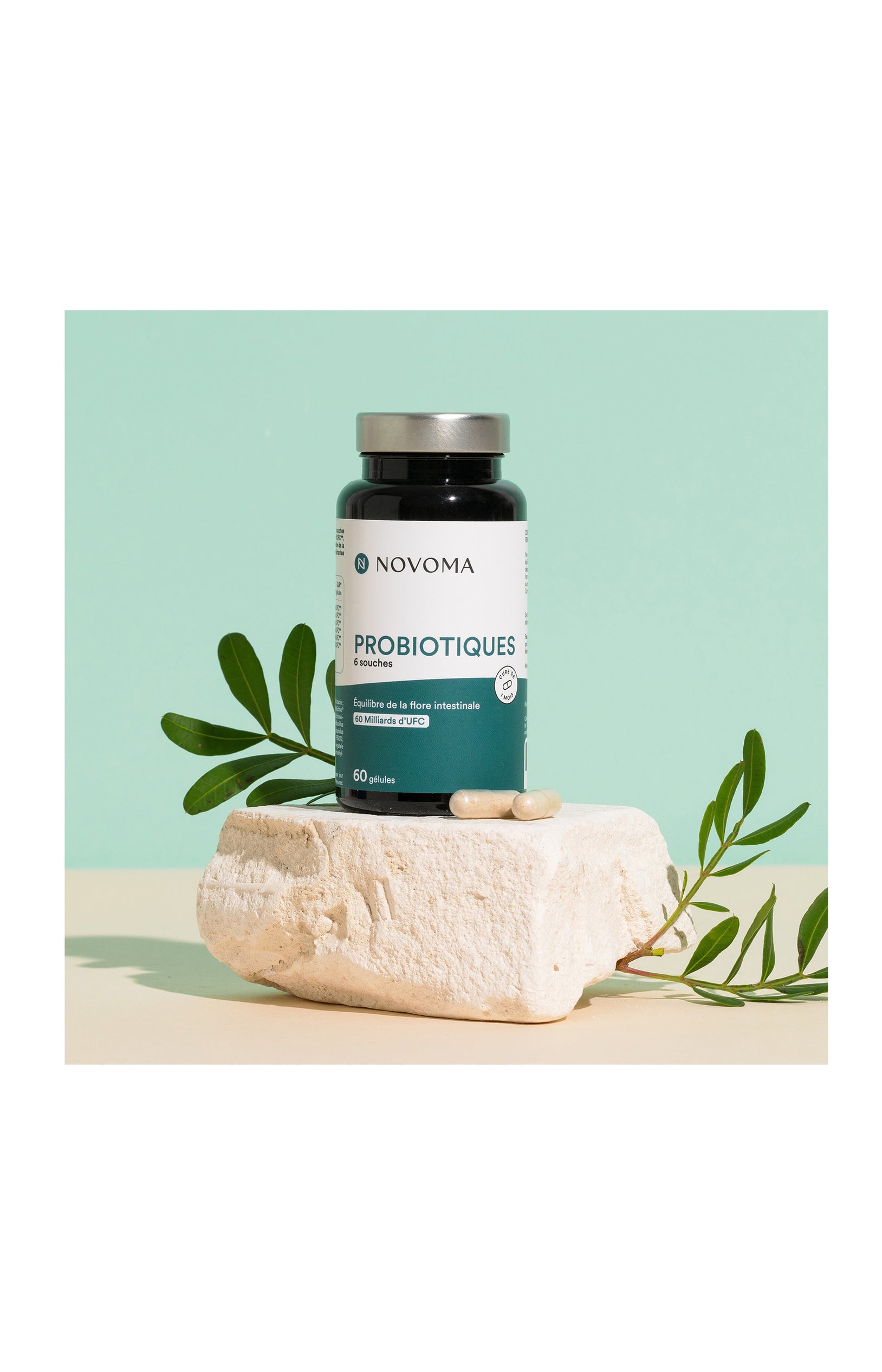 Probiotiques - Equilibre flore intestinale - 1 mois