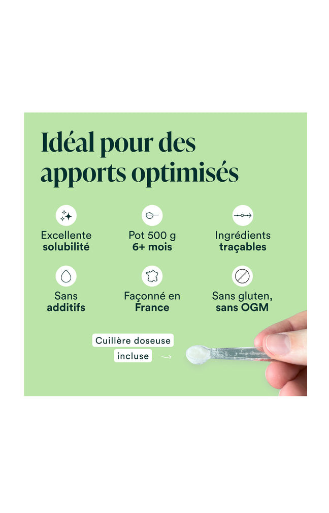 Vitamine C en poudre - Immunité & tonus - 1 kg