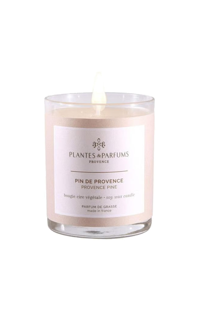 Bougie végétale parfumée - Pin de Provence - Boisé - 180 g