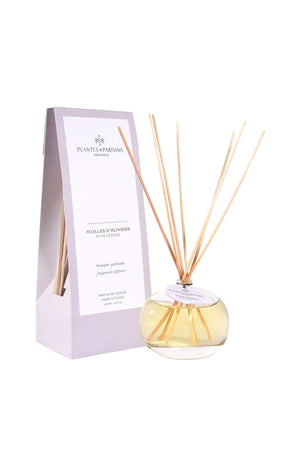 Bouquet parfumé - Feuilles d'oliviers - 100 ml