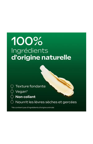 Baume à lèvres - Skin Food - 4,8 g