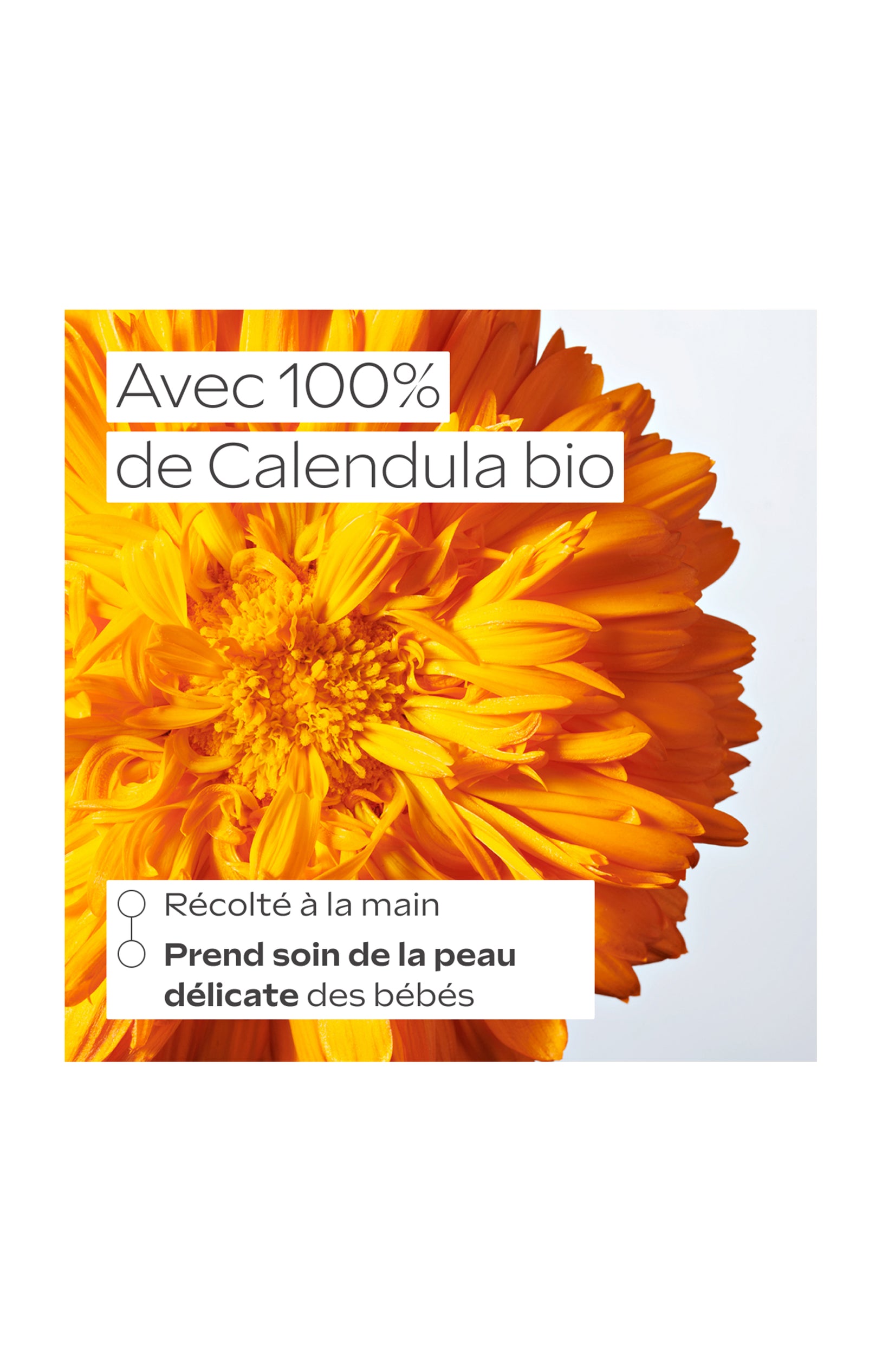 Crème hydratante bébé bio - Calendula - 50 ml