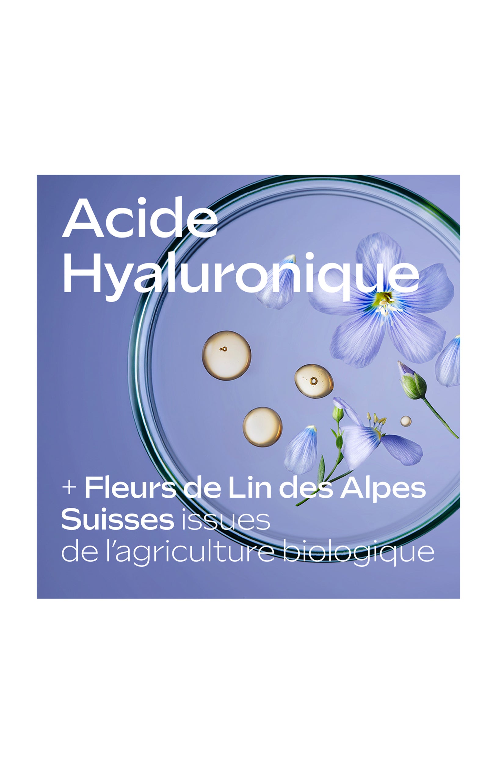 Shampoing hydratant - 250ml