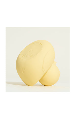 Canard vibrant - Palma