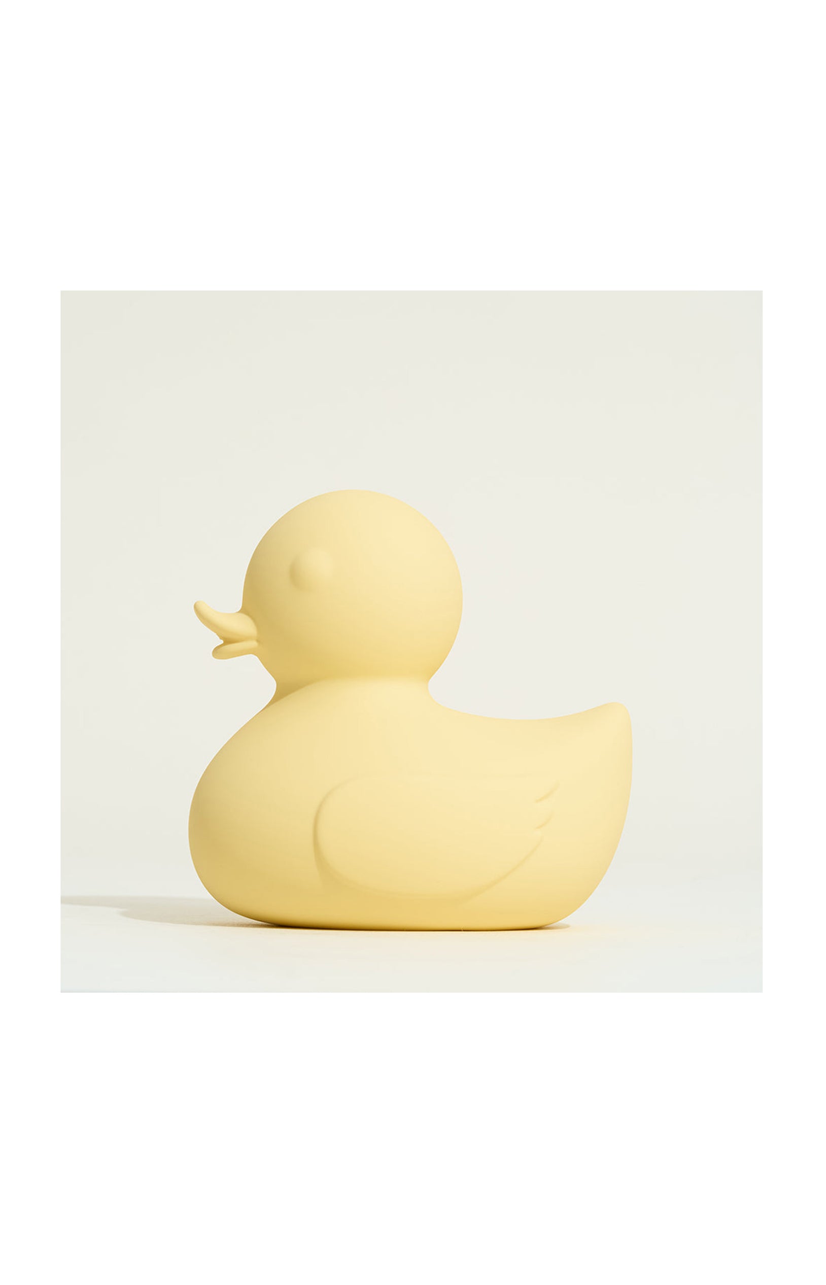 Canard vibrant - Palma