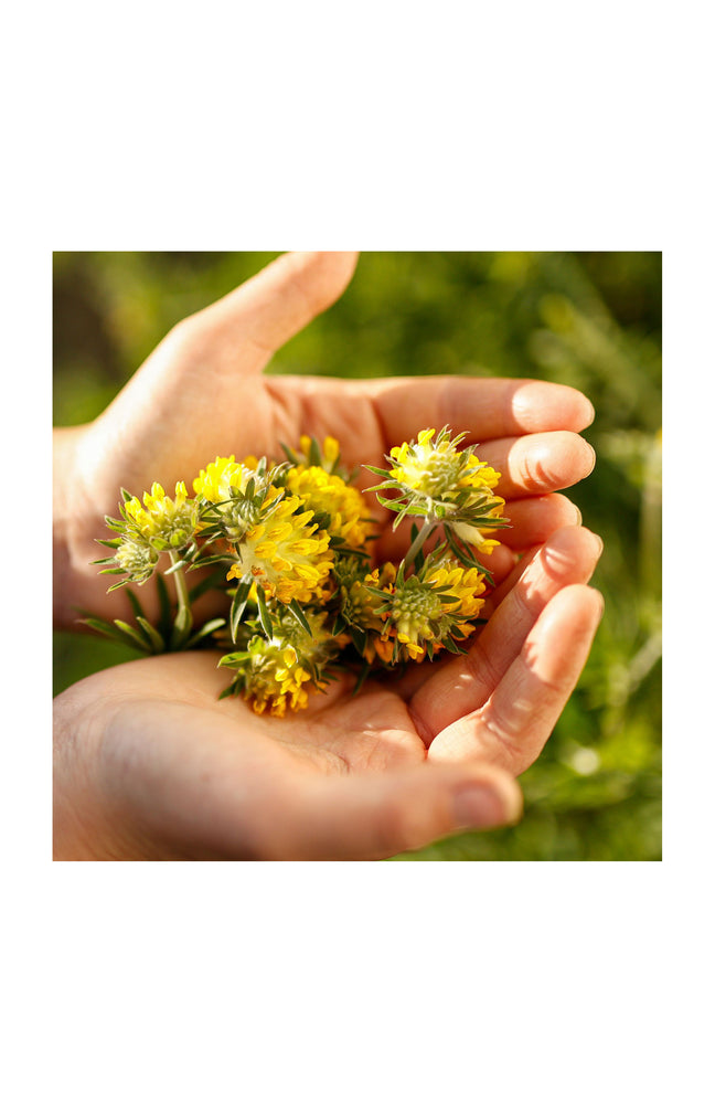 Crème nettoyante & purifiante - 50 ml