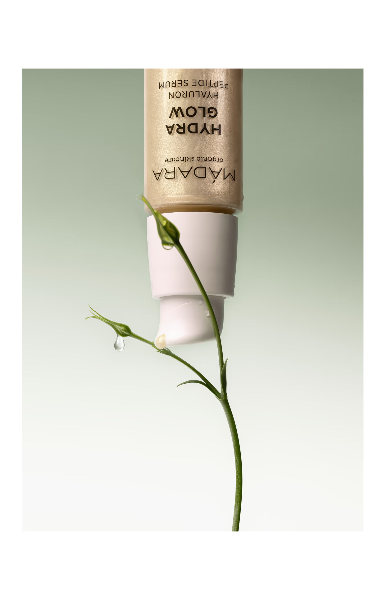 Sérum hyaluronique aux peptides - 30 ml