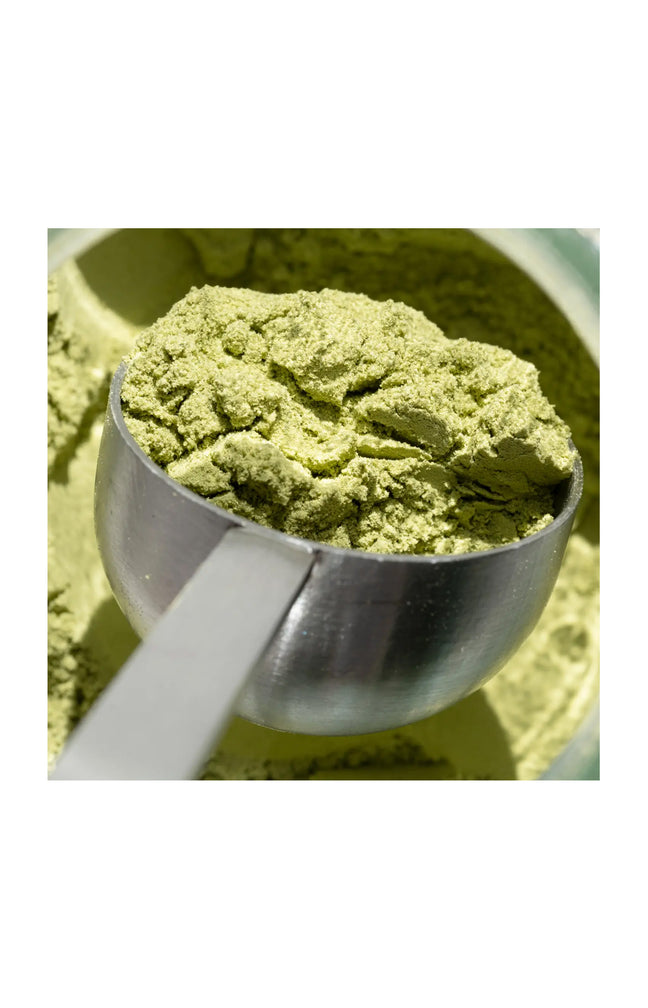 Poudre beauté - Collagène - Matcha - 1 mois